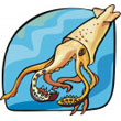 giant_squid.jpg